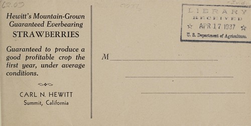 Hewitt's mountain-grown guaranteed everbearing strawberries