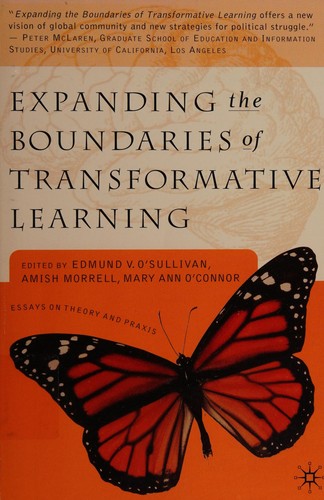 Expanding the boundaries of transformative learning
