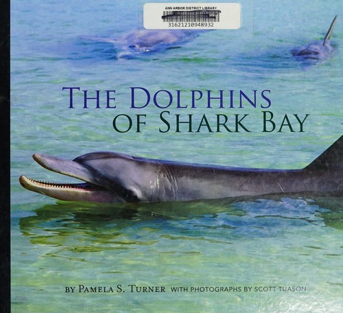 The dolphins of Shark Bay