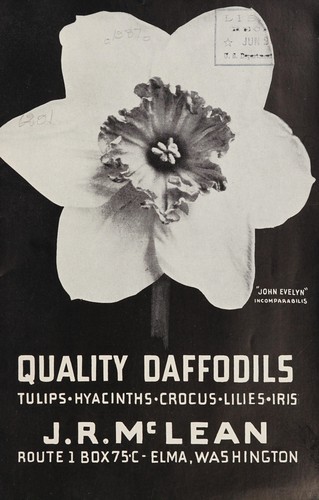 Quality daffodils, tulips, hyacinths, crocus, lilies, iris