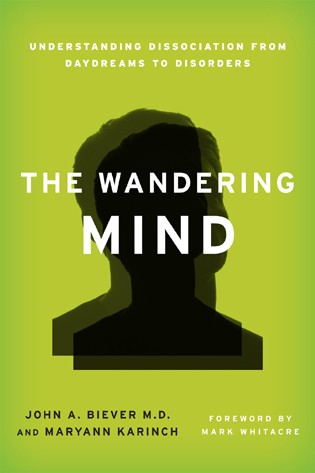 The wandering mind