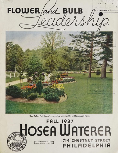 Flower and bulb leadership
