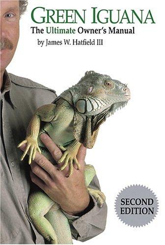 Green Iguana