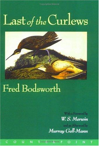 Last of the curlews