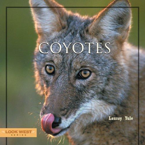 Coyotes