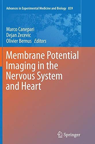 Membrane Potential Imaging in the Nervous System and Heart