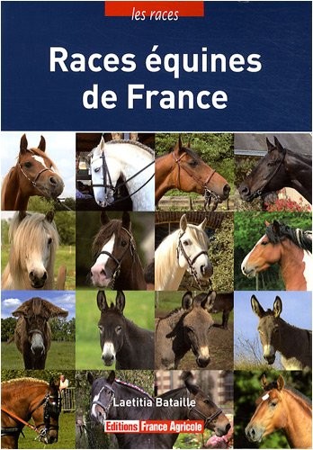 Races équines de France