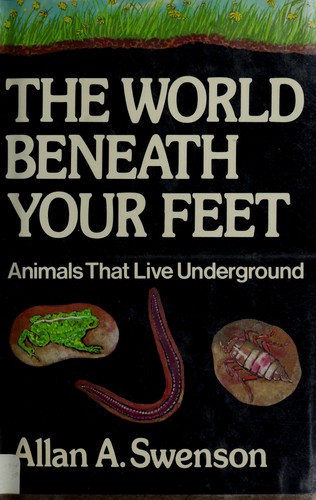 The world beneath your feet