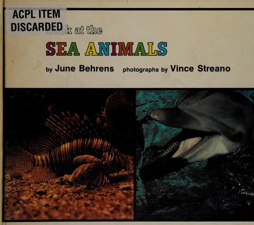 Look at the sea animals