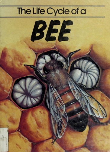 Life Cycle of a Bee (Life Cycle Series)