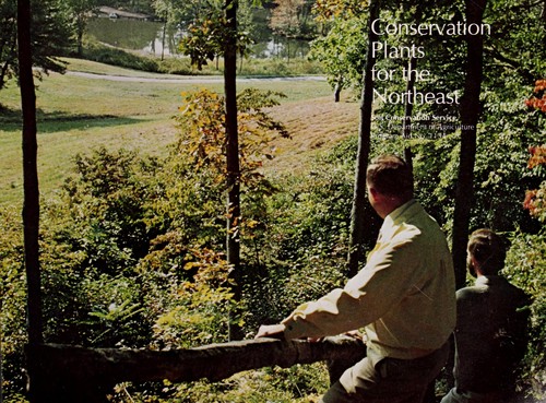 Conservation plants for the Northeast