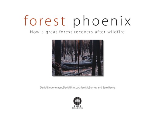 Forest Phoenix