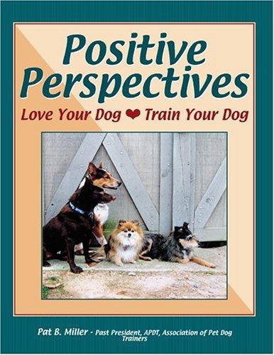 Positive Perspectives