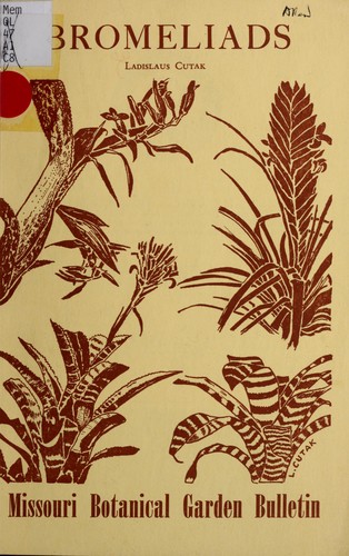 Bromeliads