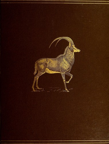 The book of antelopes