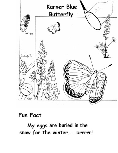 The endangered species coloring book (A Price/Stern/Sloan coloring experience)