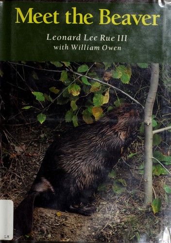 Meet the beaver