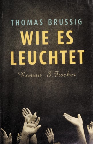 Wie es leuchtet: Roman
