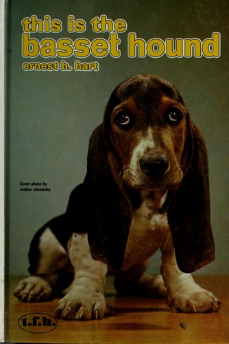 This Is the Bassett Hound
