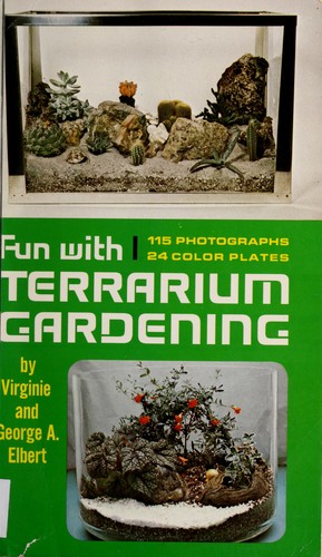Fun with terrarium gardening