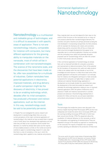 The social and economic challenges of nanotechnology