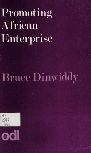 Promoting African enterprise