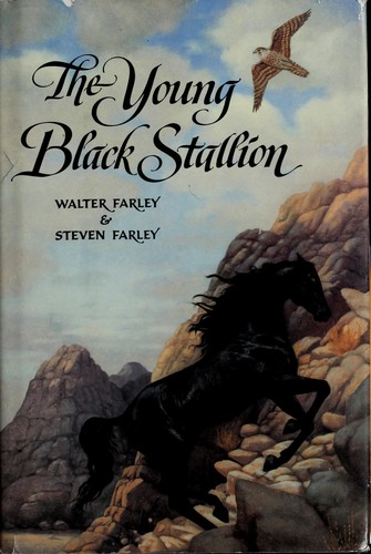The young black stallion