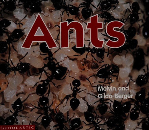 Ants