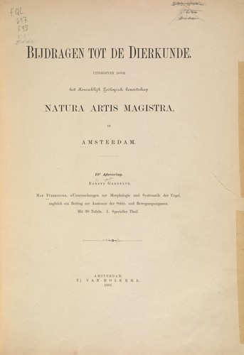 Untersuchungen zur Morphologie und Systematik der Vögel
