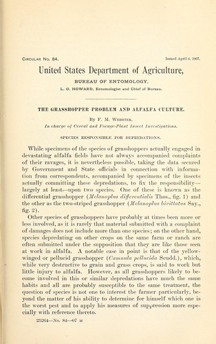 Studier öfver Codex Bureanus