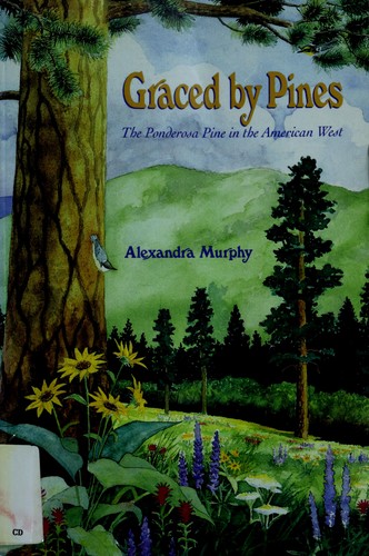 Graced by pines