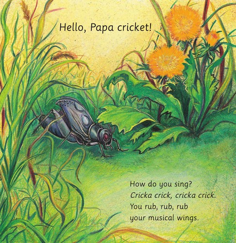 Singing crickets
