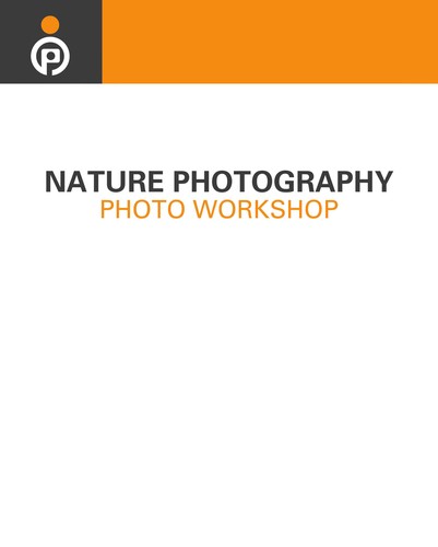 Nature photography photo workshop
