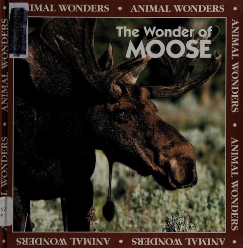 The wonder of moose