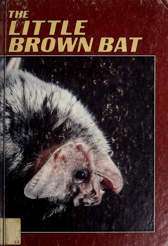 The little brown bat