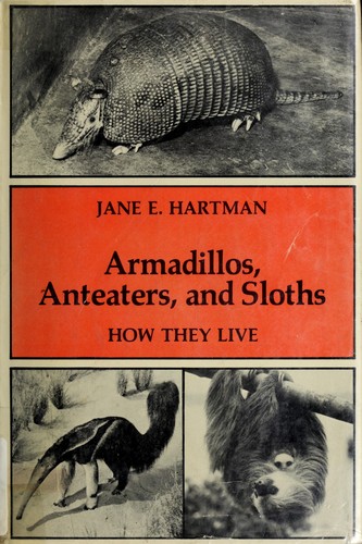 Armadillos, anteaters, and sloths