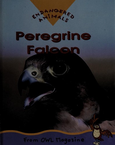 Peregrine Falcon