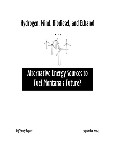 Hydrogen, wind, biodiesel, and ethanol
