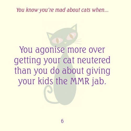 Mad About Cats