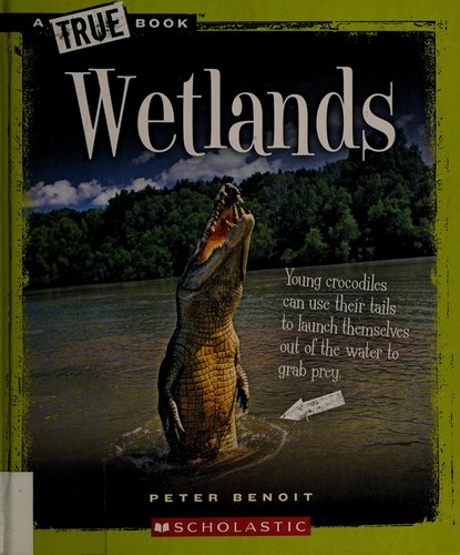 Wetlands