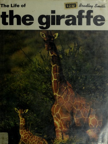 The life of the giraffe