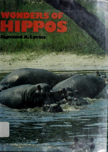 Wonders of hippos