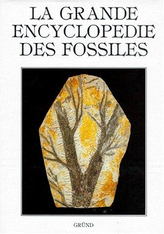 Grande Encyclopedie Die Des Fossiles