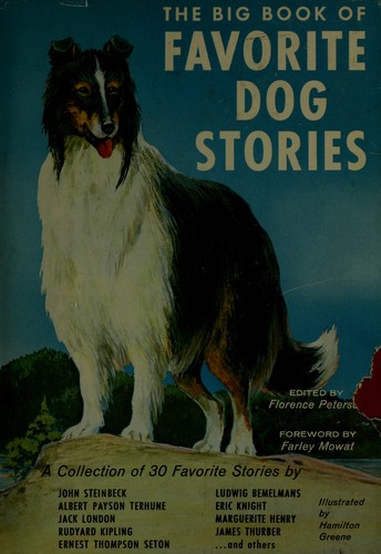 Dogs: heroes, adventurers, friends