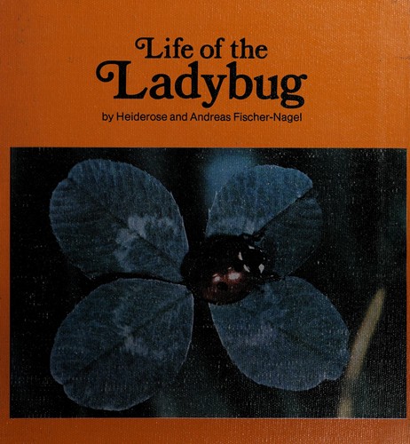 Life of the ladybug