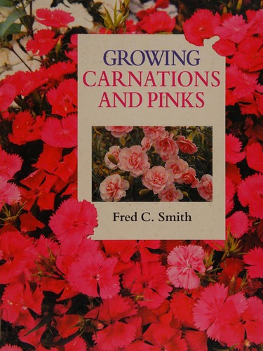 Growing carnations and pinks