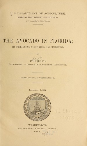 The avocado in Florida