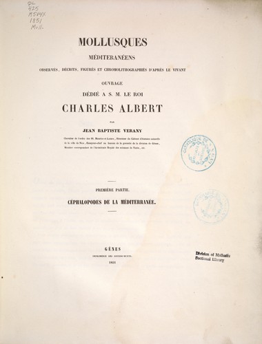 Mollusques méditeranéens [!]