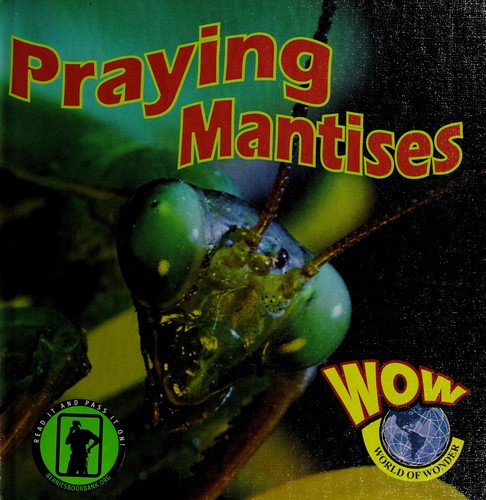 Praying mantis