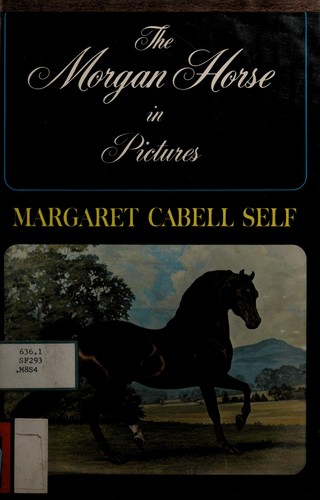 The Morgan horse in pictures